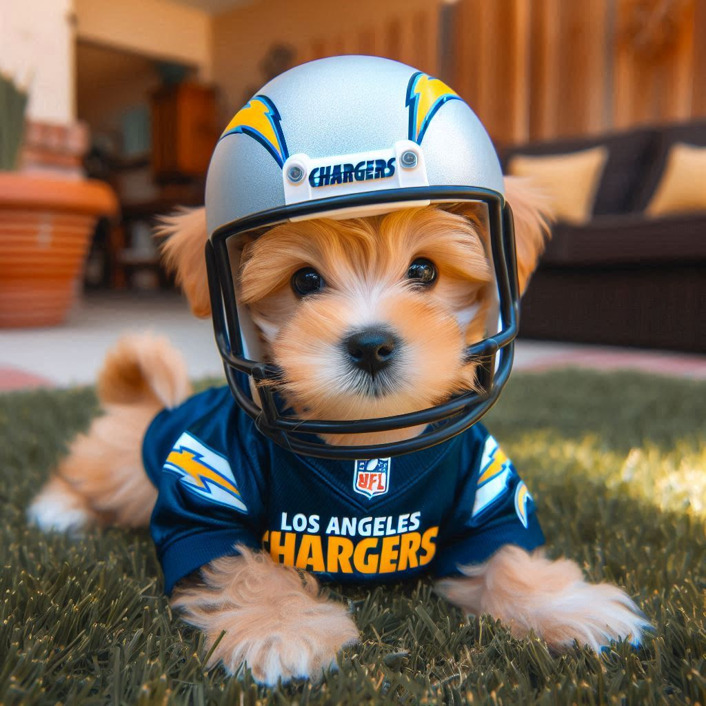 Football Images (PUPPIES)